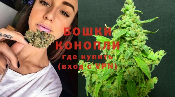 прущий лед Богородицк