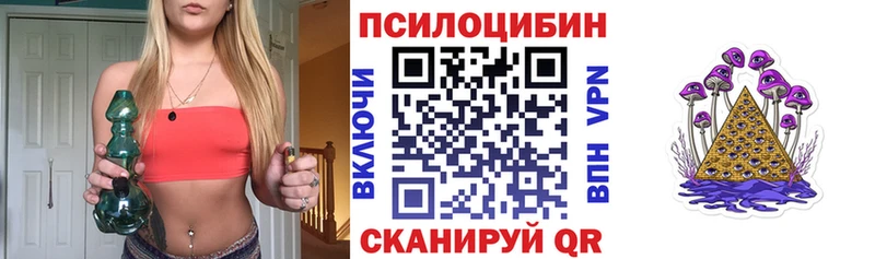 Псилоцибиновые грибы Cubensis  Малая Вишера 